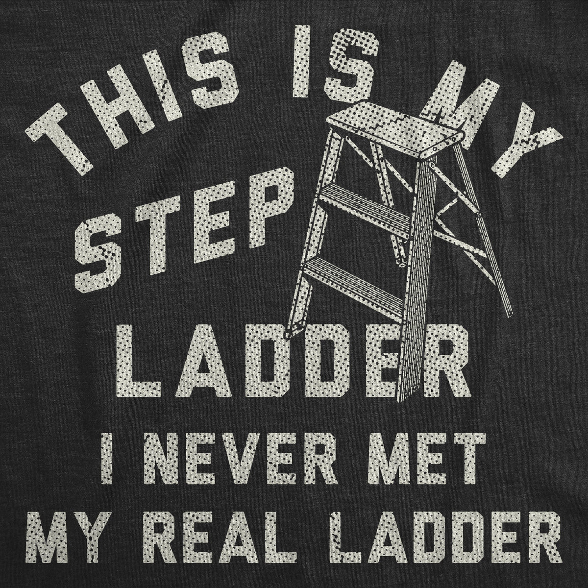 This Is My Step Ladder Men's T Shirt