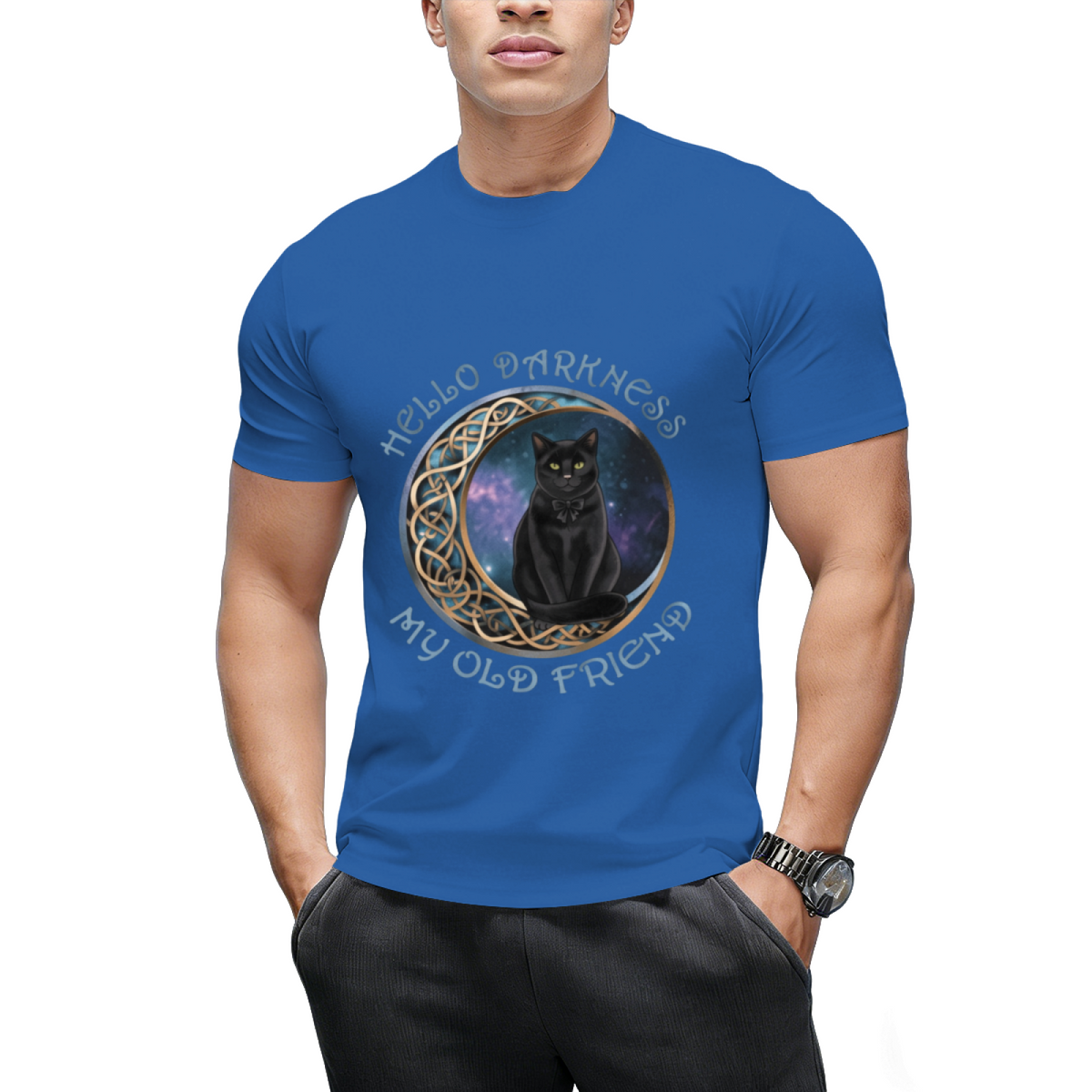 Hello Darkness My Old Friend Cat Lovers T-Shirt