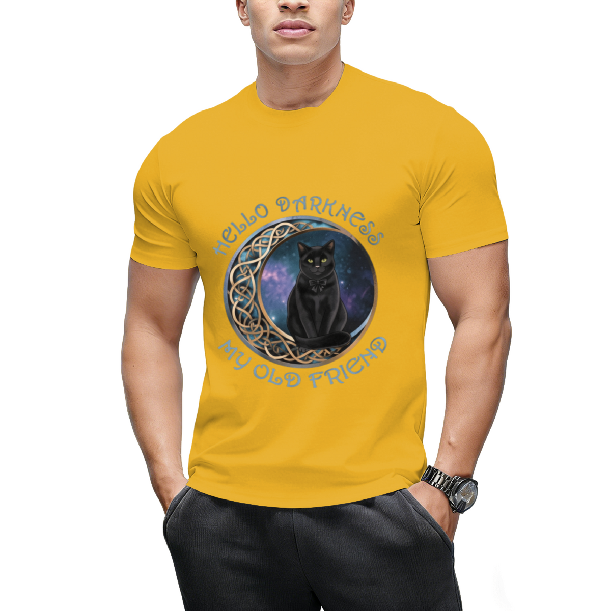 Hello Darkness My Old Friend Cat Lovers T-Shirt
