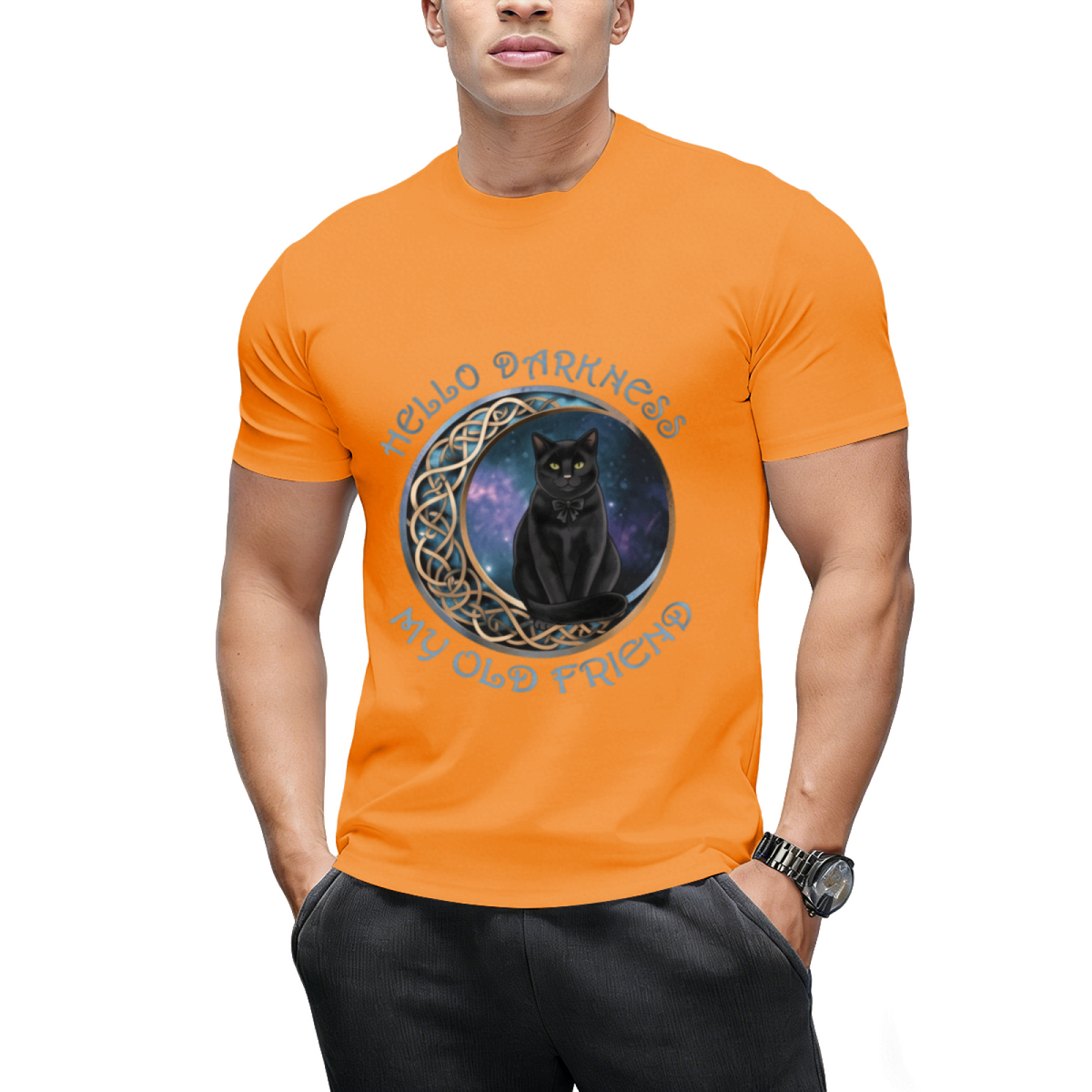 Hello Darkness My Old Friend Cat Lovers T-Shirt