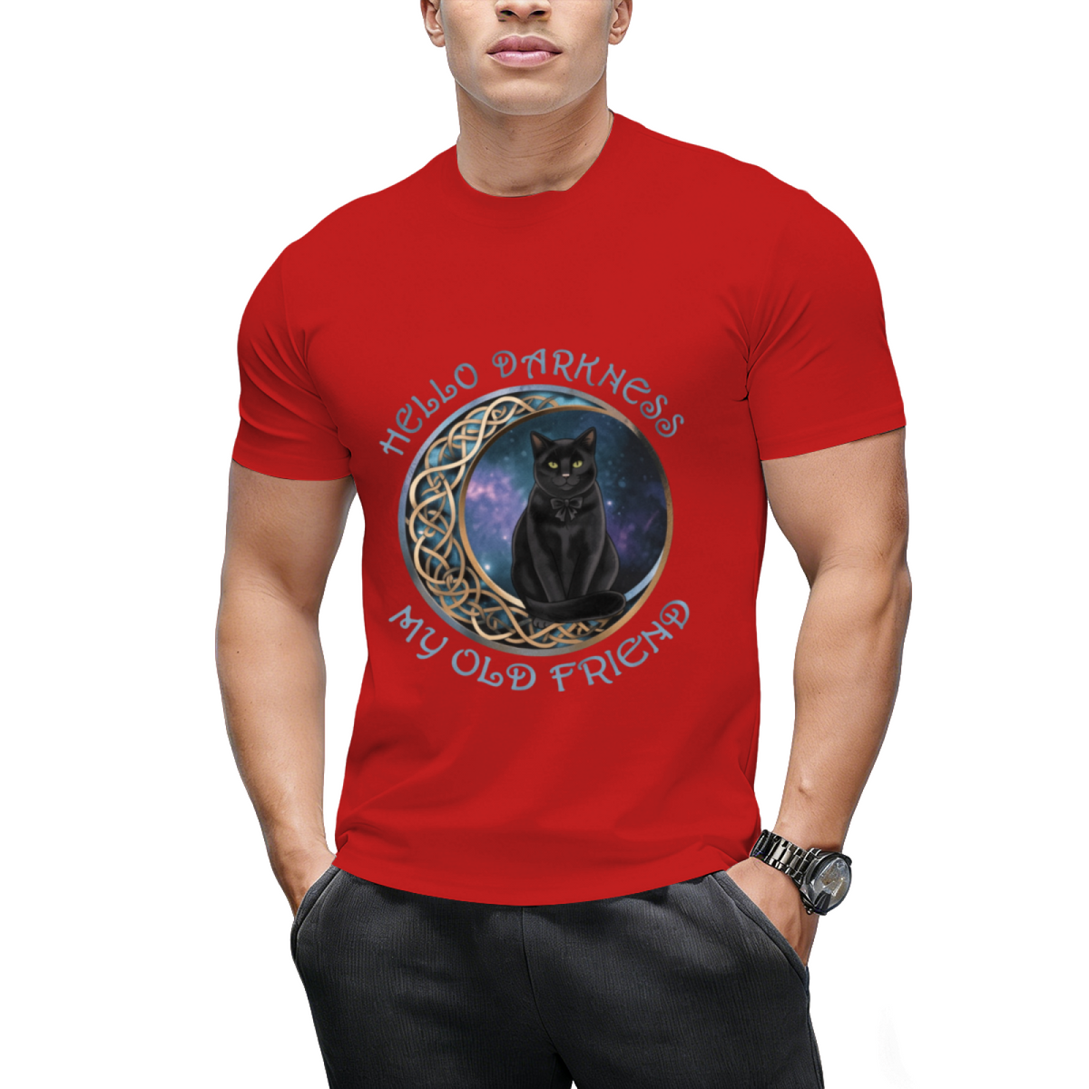 Hello Darkness My Old Friend Cat Lovers T-Shirt