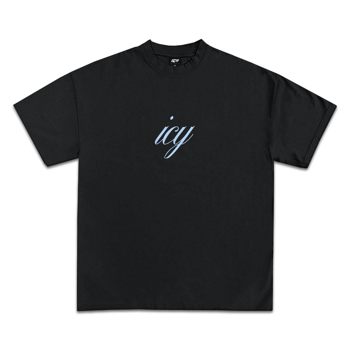 Icy Fullness of Joy T-Shirt