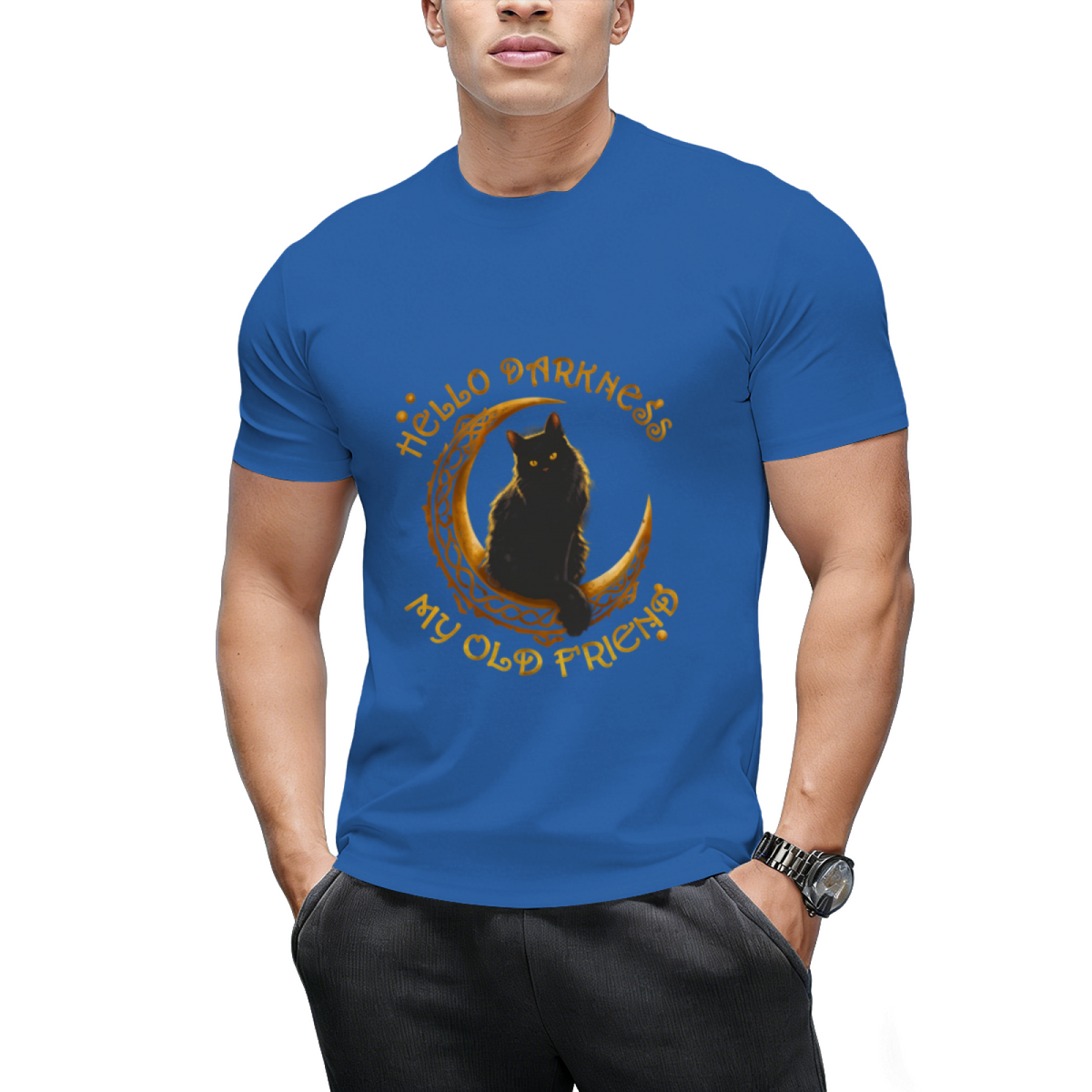 Hello Darkness My Old Friend Funny Animal Lovely Cat T-Shirt
